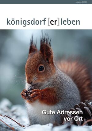 Umschlag königsdorf [er]leben, Ausgabe 2/2026: ein Eichhörnchen im Schnee