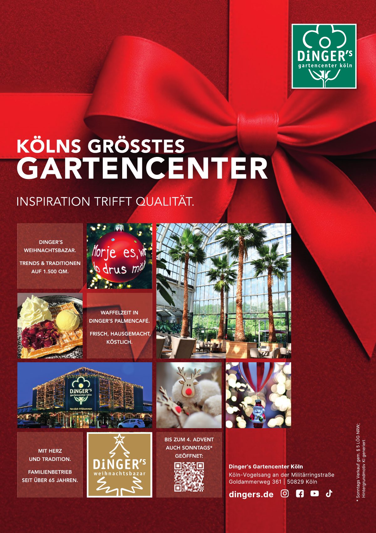 Seite 44 im Heft südstadt [er]leben: Anzeige Dingers Gartencenter Köln – Kölns größtes Gartencenter.